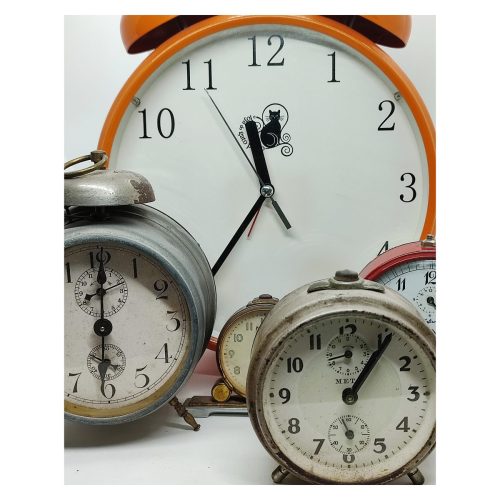 Reunió de dormilegues